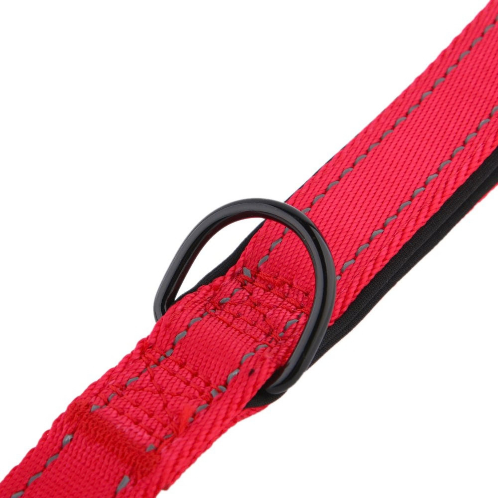 Heavy-Duty-Leash Heavy-Duty-Leash