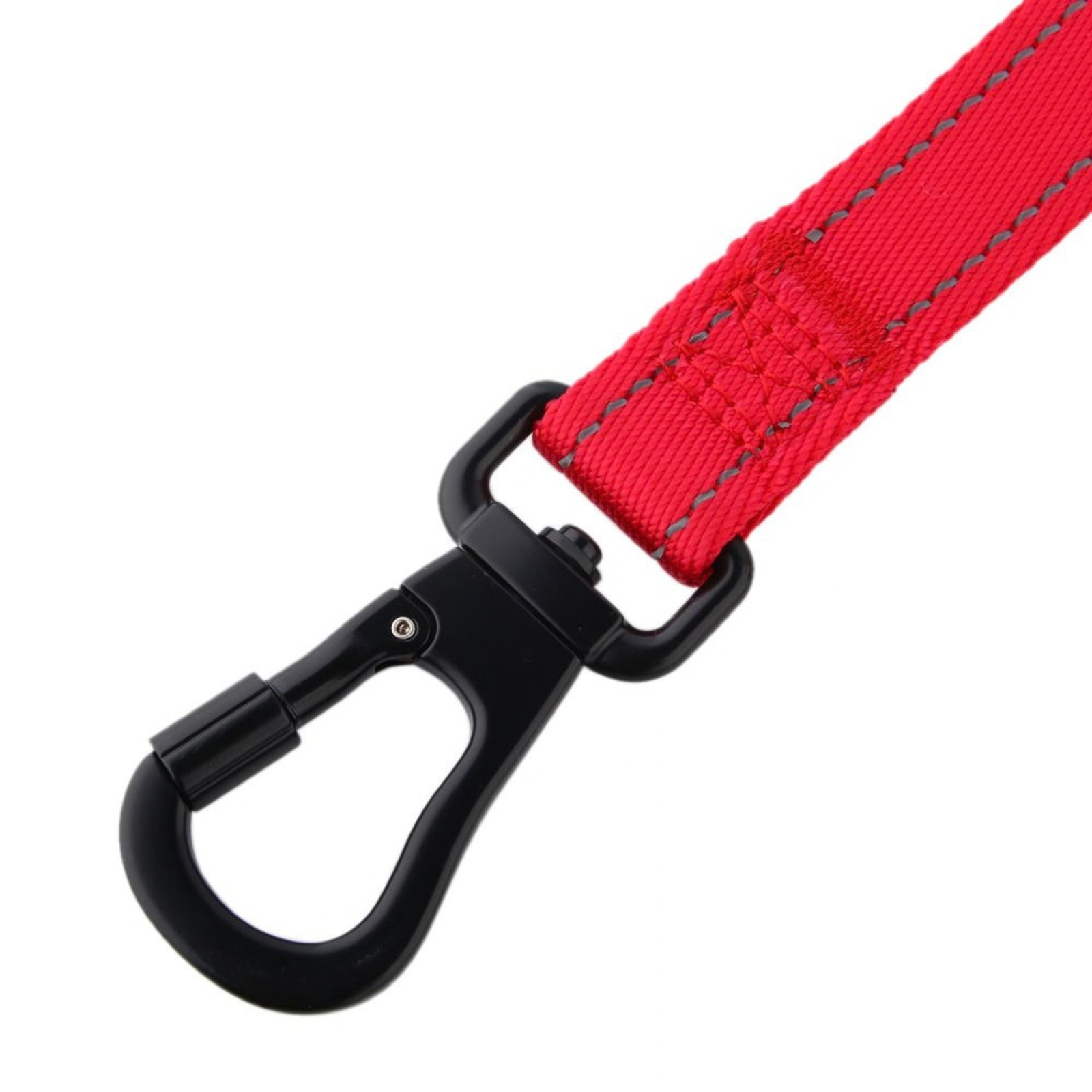 Heavy Leash Heavy Leash