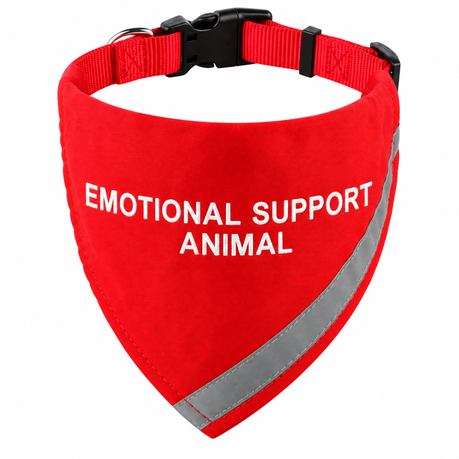 Bandana for ESA Bandana for ESA
