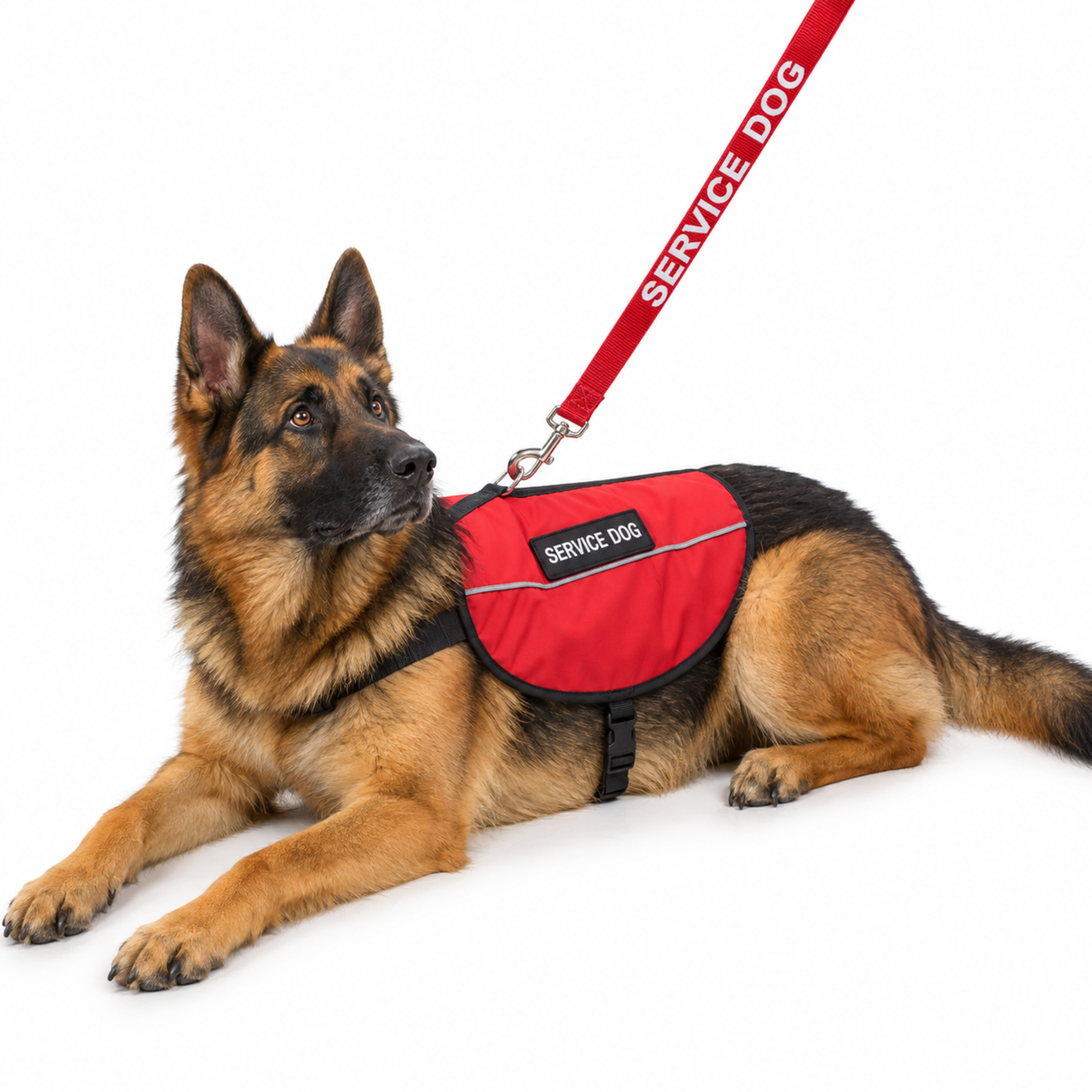 Vest for service dog Vest for service dog